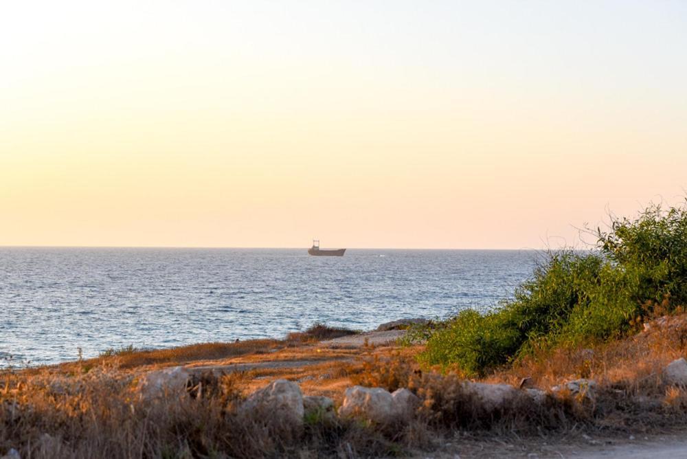 Beautiful Apartment Near The Sea And A Large Private Garden Paphos Exteriér fotografie