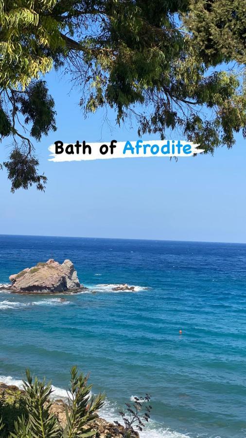 Beautiful Apartment Near The Sea And A Large Private Garden Paphos Exteriér fotografie